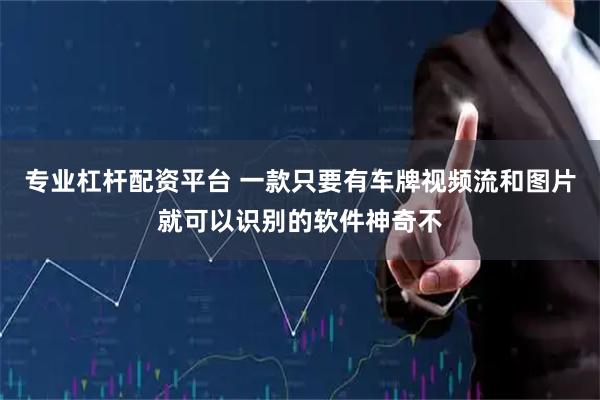 专业杠杆配资平台 一款只要有车牌视频流和图片就可以识别的软件神奇不