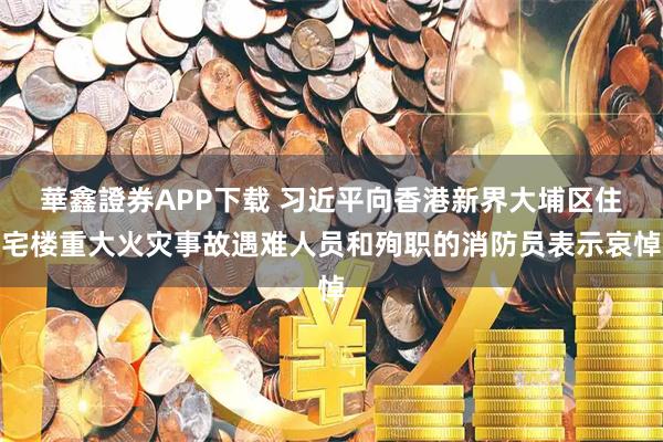 華鑫證券APP下载 习近平向香港新界大埔区住宅楼重大火灾事故遇难人员和殉职的消防员表示哀悼