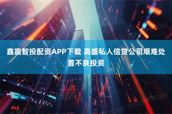 鑫赢智投配资APP下载 高盛私人信贷公司艰难处置不良投资
