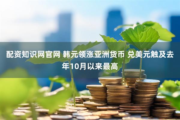 配资知识网官网 韩元领涨亚洲货币 兑美元触及去年10月以来最高