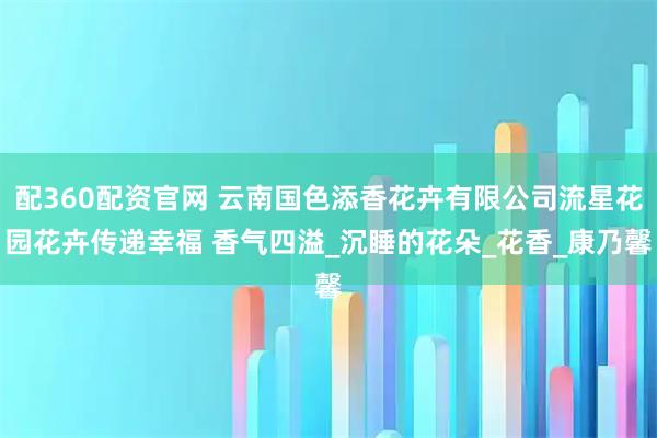 配360配资官网 云南国色添香花卉有限公司流星花园花卉传递幸福 香气四溢_沉睡的花朵_花香_康乃馨
