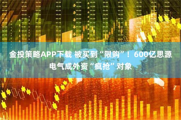 金投策略APP下载 被买到“限购”！600亿思源电气成外资“疯抢”对象